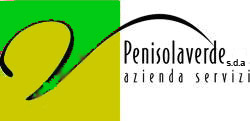 Penisola