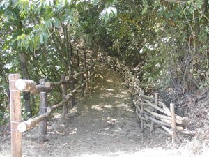 Altri Paesi