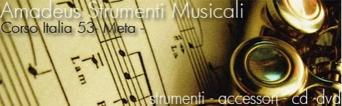 Amadeus Strumenti Musicali Corso Italia 53 Meta di Sorrento